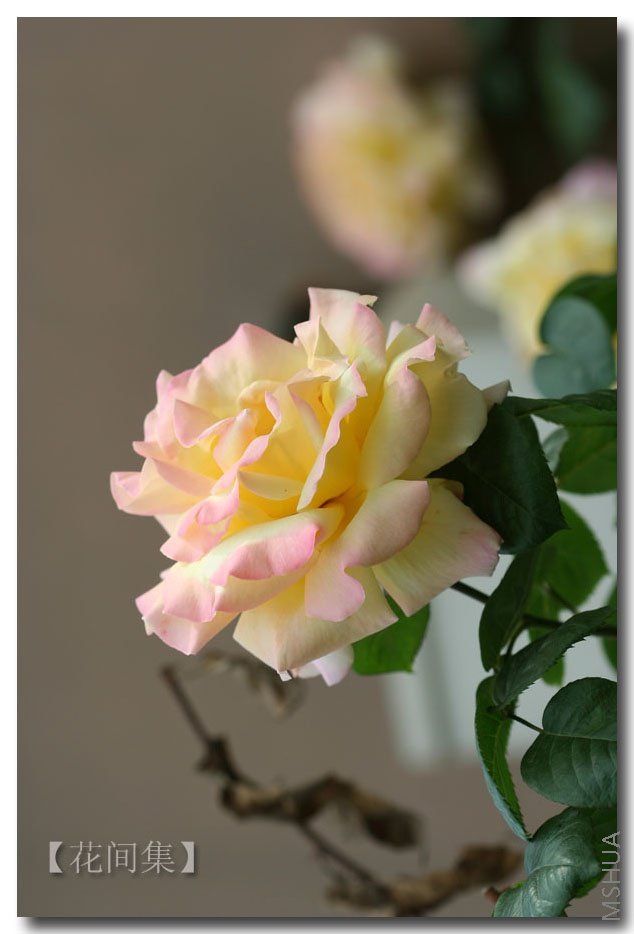 IMG_0160 ����.jpg