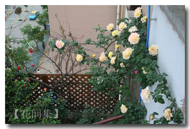 IMG_0434 ����.jpg