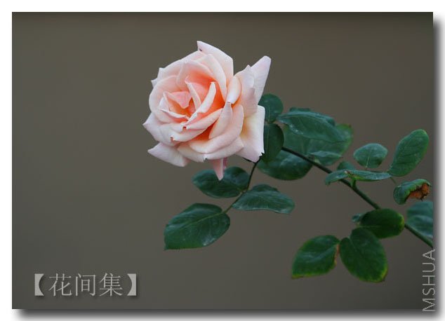 IMG_0755 ����.jpg