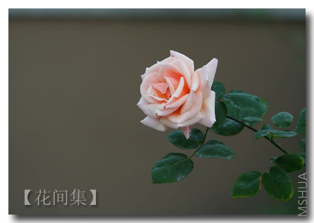 IMG_0758 ����.jpg