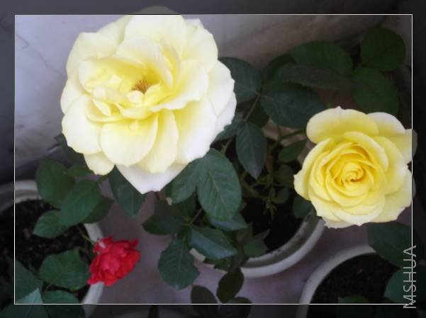 һ��һС����