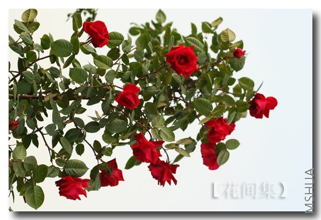 IMG_0673 ����.jpg