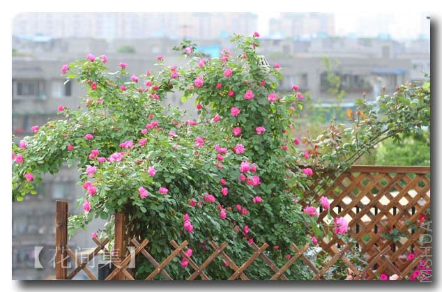 IMG_0691 ����.jpg