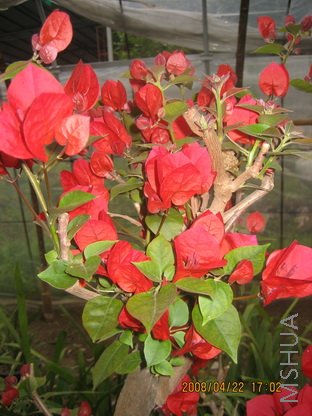 ��Ƭ2007.8.30 264_������С.jpg