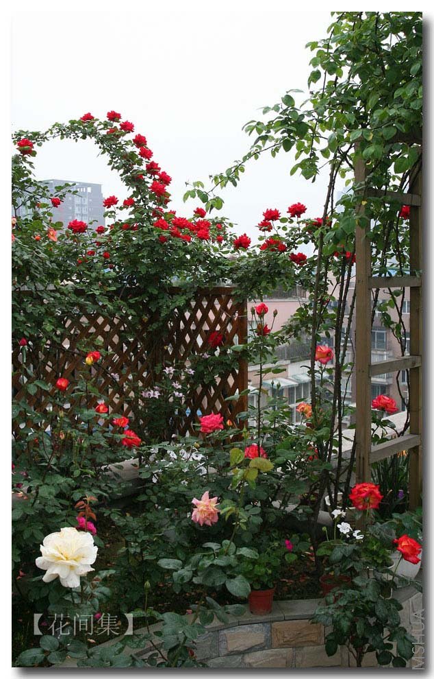 IMG_1151 ����.jpg