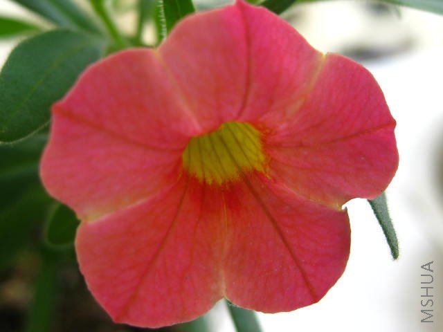 ���������������ε�С��