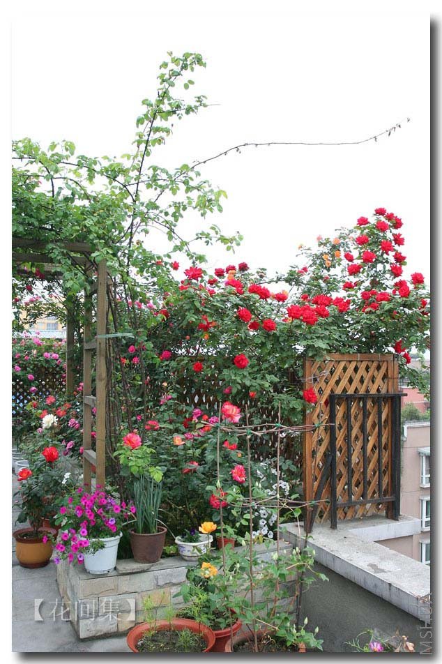 IMG_1152 ����.jpg