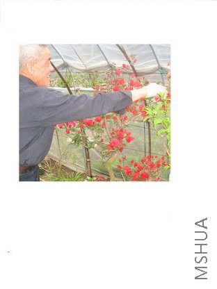 ��Ƭ2007.8.30 262_������С.jpg