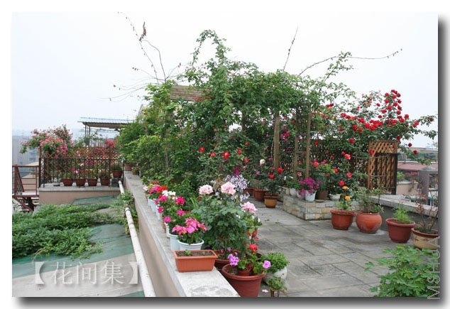 IMG_1153 ����.jpg