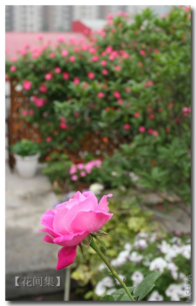 IMG_1157 ����.jpg