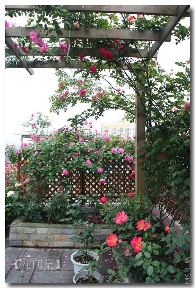 IMG_1156 ����.jpg