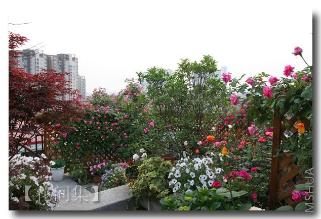 IMG_1144 ����.jpg