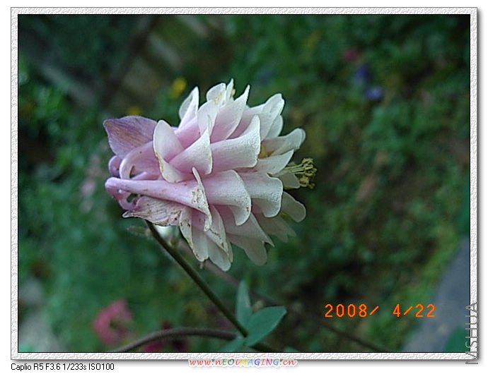 ����ر���