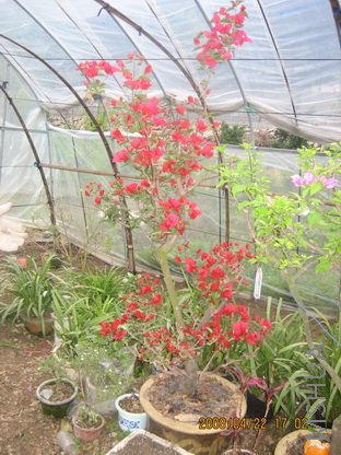 ��Ƭ2007.8.30 263_������С.jpg