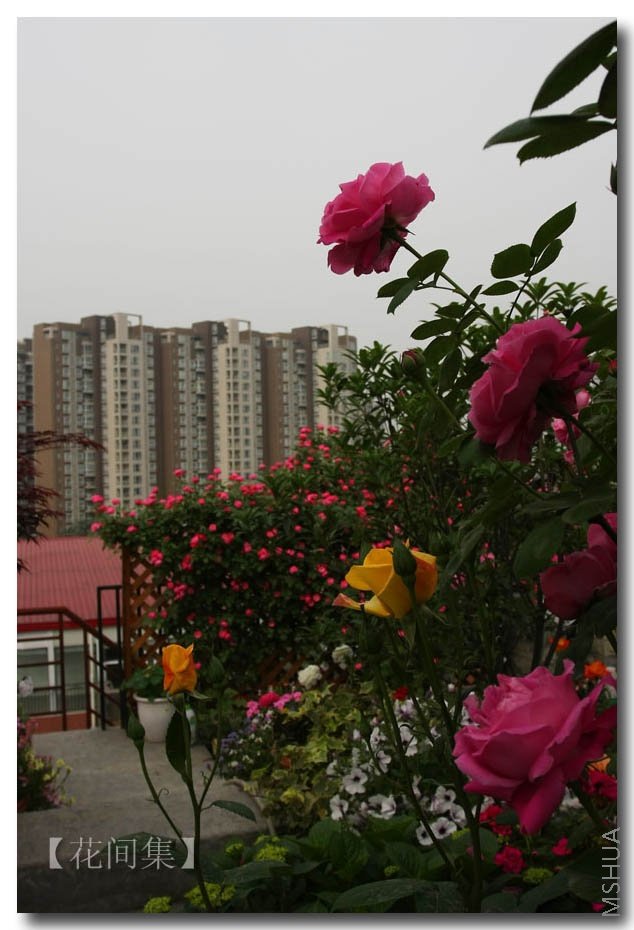 IMG_2342 ����.jpg