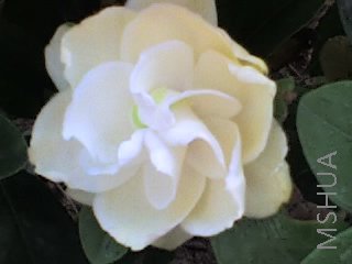 27-04-08_0821.jpg