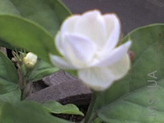 27-04-08_0820.jpg