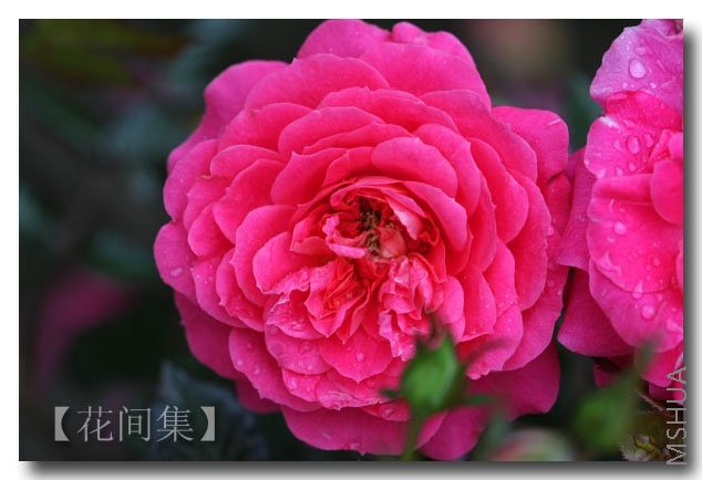 IMG_2114 ����.jpg