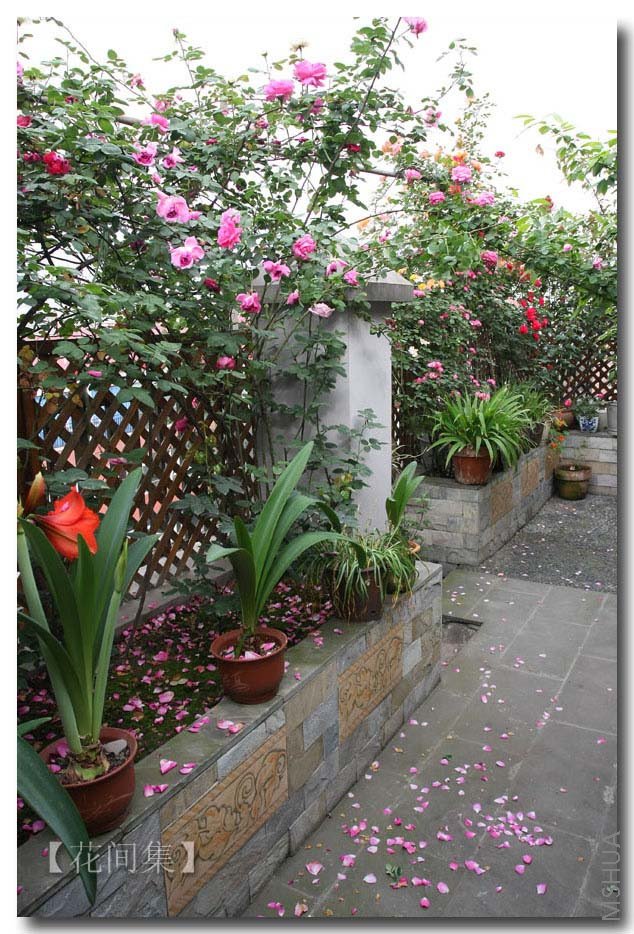 IMG_2335 ����.jpg