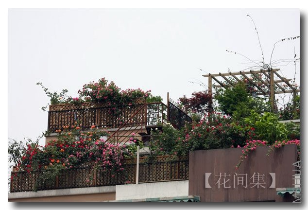 IMG_2352 ����.jpg