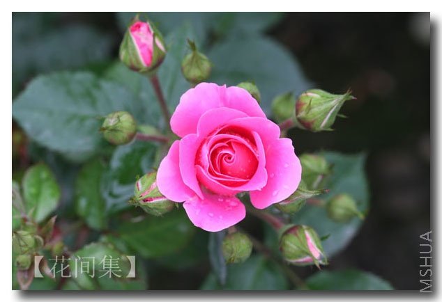 IMG_2066 ����.jpg