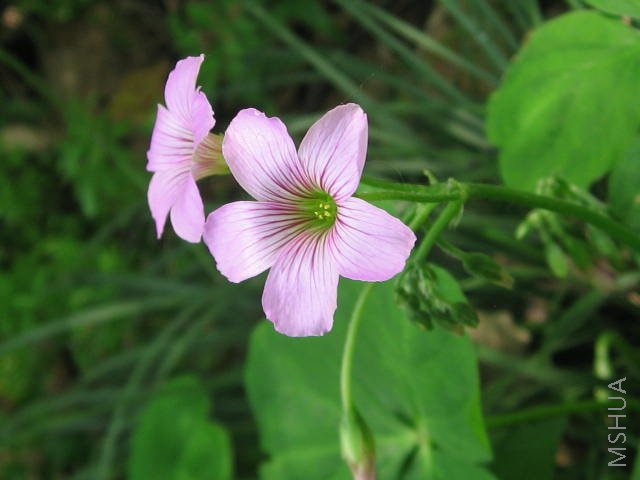 �����ò�ƣУ�Ҳ���ĵúã��ϻ���