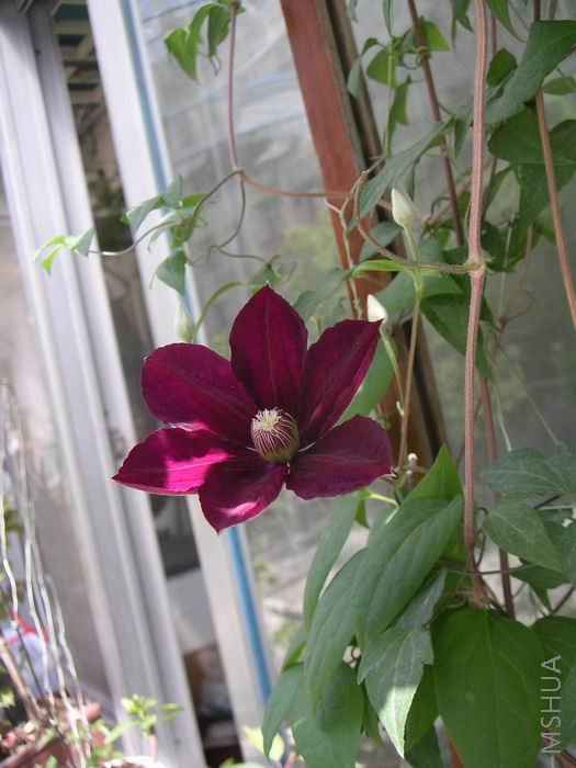 ������С ����8042507.JPG