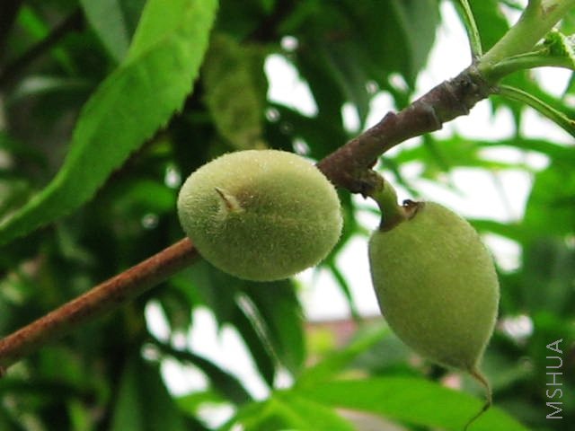 �������ӽ��˺ö࣬�ٺ�