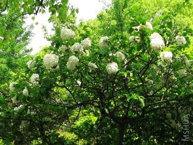 ľ����ϲ��Ҫ����ÿ�ε���������Ҫ���������ţ����»��и��ʣ����ǻ�����ż��ô��ȥ������