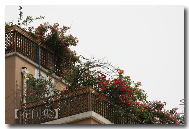 IMG_2355 ����.jpg