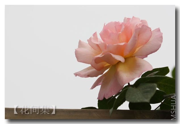 IMG_2324 ����.jpg