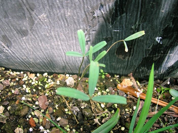 DSCN2188.jpg