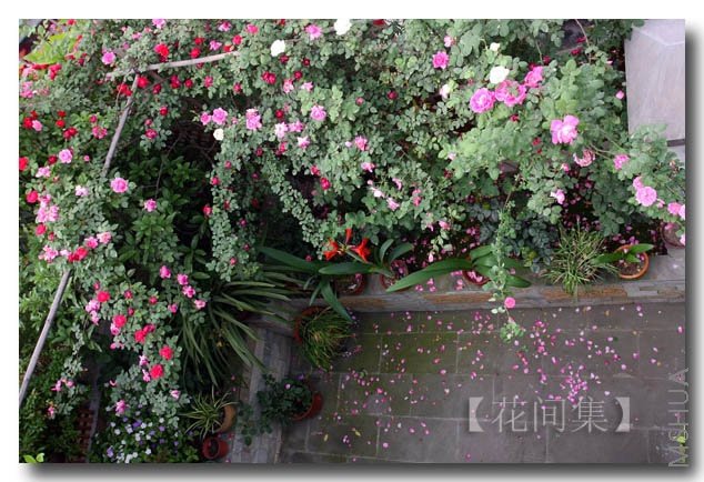 IMG_2345 ����.jpg