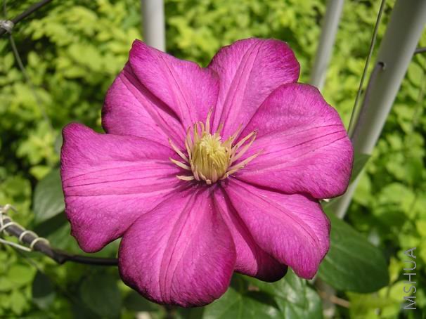 ������С ������8042703.JPG