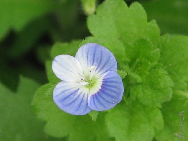 ����ңкã���ʲô�����������͸��������˼���