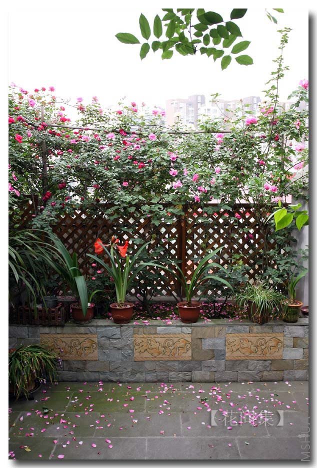 IMG_2334 ����.jpg