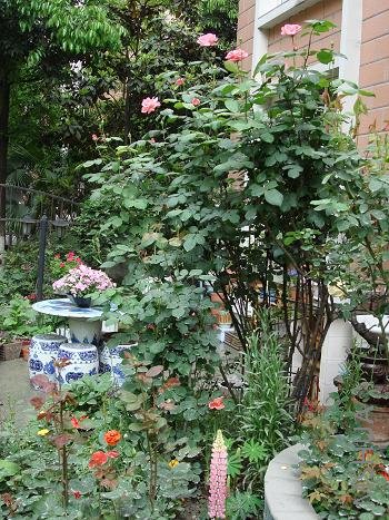 ����ɯ��