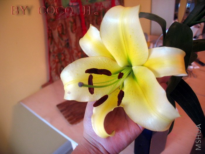 ���������� ���ҵ��ֻ���ö�