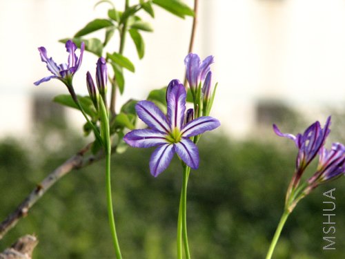 ��Ƭ 077.jpg