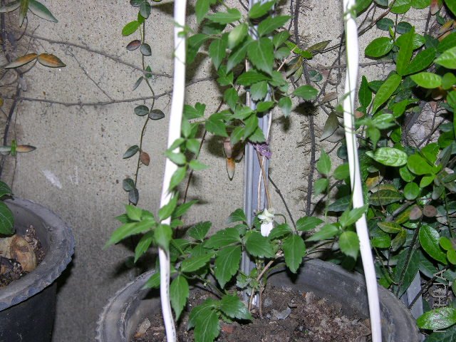DSCN1861.JPG