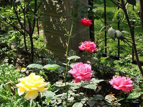 �ƺ�ƽ�����㡢����