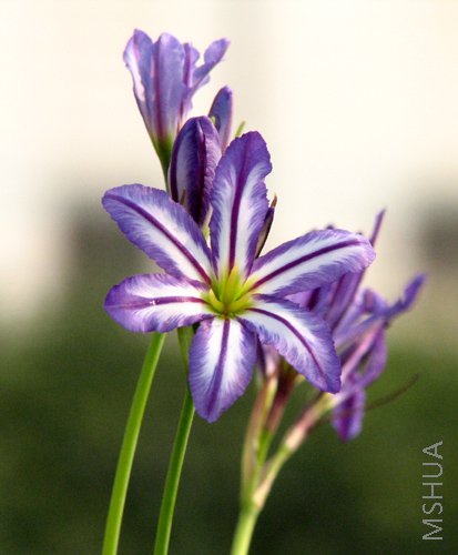 ��Ƭ 078.jpg