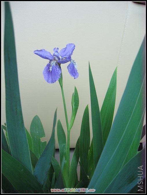 4.29 �β ͤͤ����.jpg