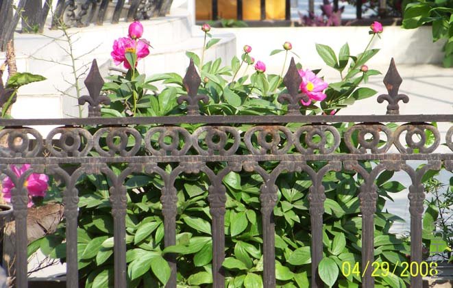 ��Ƭ 029.jpg