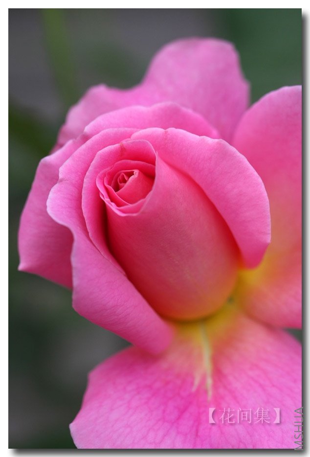 IMG_2395 ����.jpg