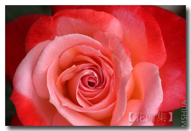 IMG_2468 ����.jpg