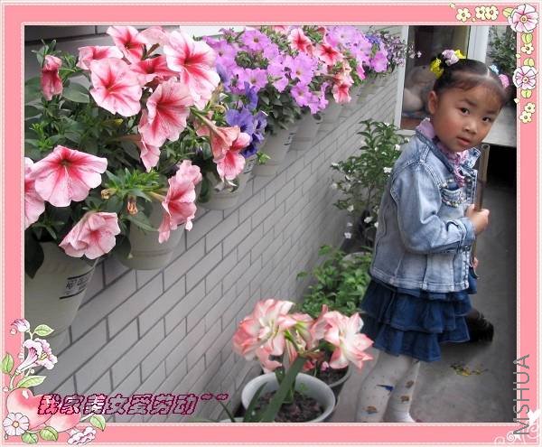 ��Ƭ20080427 019.jpg