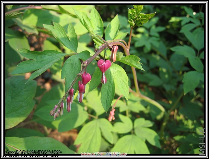 4.27 �ɰ�ĵ�� 043.jpg