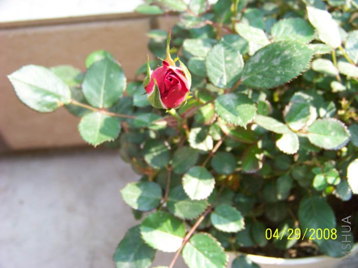 ��Ƭ 016.jpg