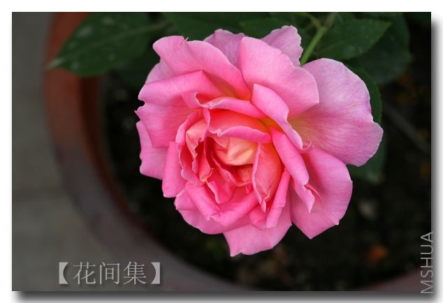 IMG_2473 ����.jpg